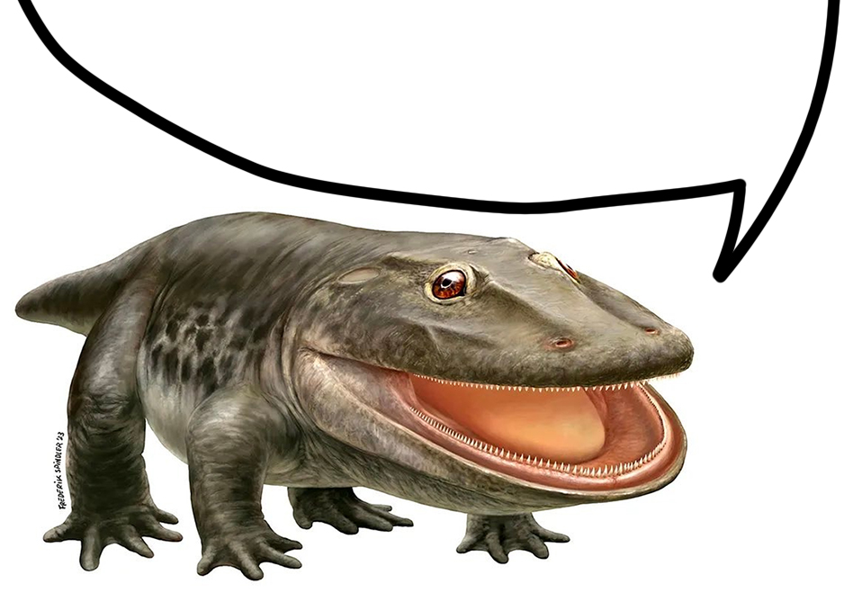 AugustBembel's tweet photo. womit bezahlen dinosaurier?

    mit tyrannosaurus schecks!!!! https://t.co/ahZAwNFu7S