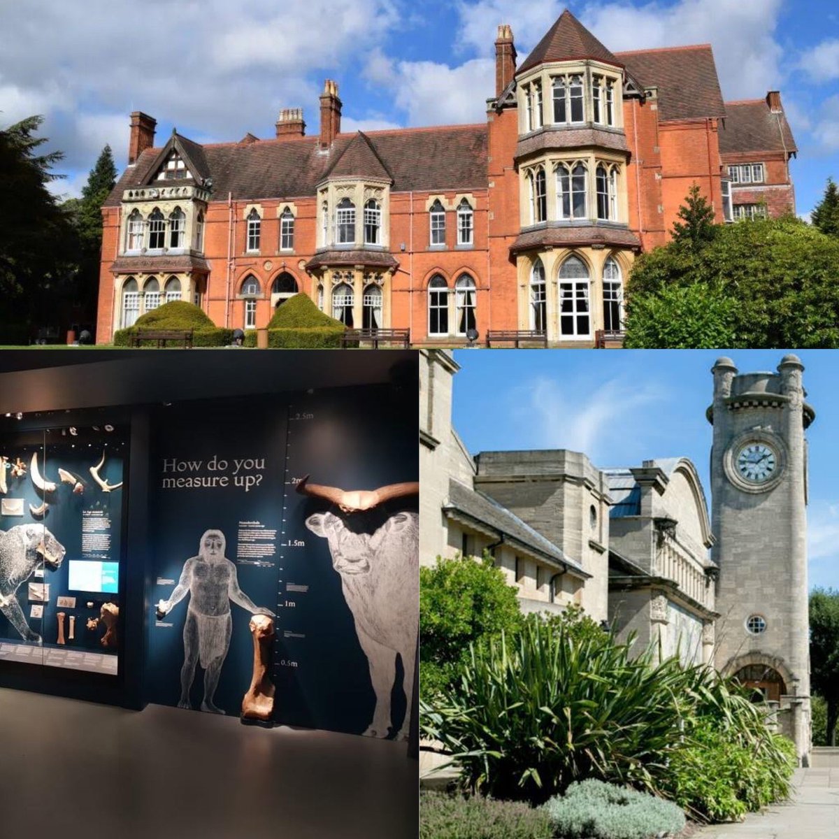 FocusLLP's tweet photo. @FocusLLP are honoured to work on projects that seek to protect our rich heritage - be it marine, architectural, rural, industrial or social, for future generations to enjoy. 
See some of our recent projects here: https://t.co/k7fGk8eYsI
#HeritageTreasuresDay #ProjectManagement https://t.co/bcEgKtIcZd
