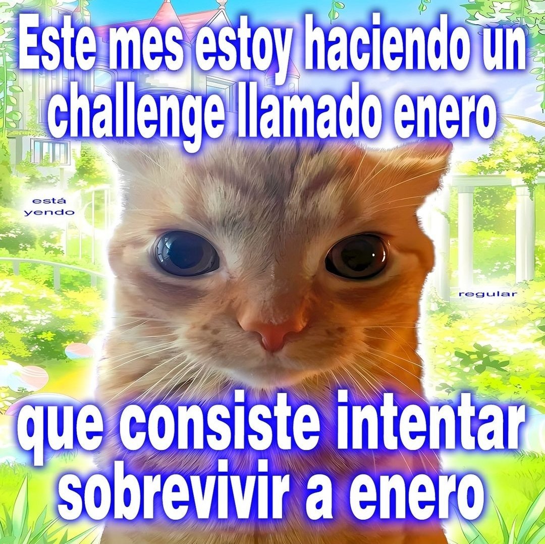 Infusión Ideológica 🫖🍵 (@infusionlogica) on Twitter photo 