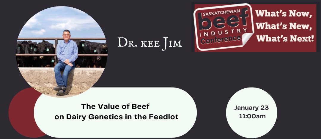 Register today to hear from Dr. Kee Jim at the upcoming #sbic2024 January 22-24 in Regina and learn the Value of Beef on Dairy Genetics in the Feedlot. 

saskbeefconference.com