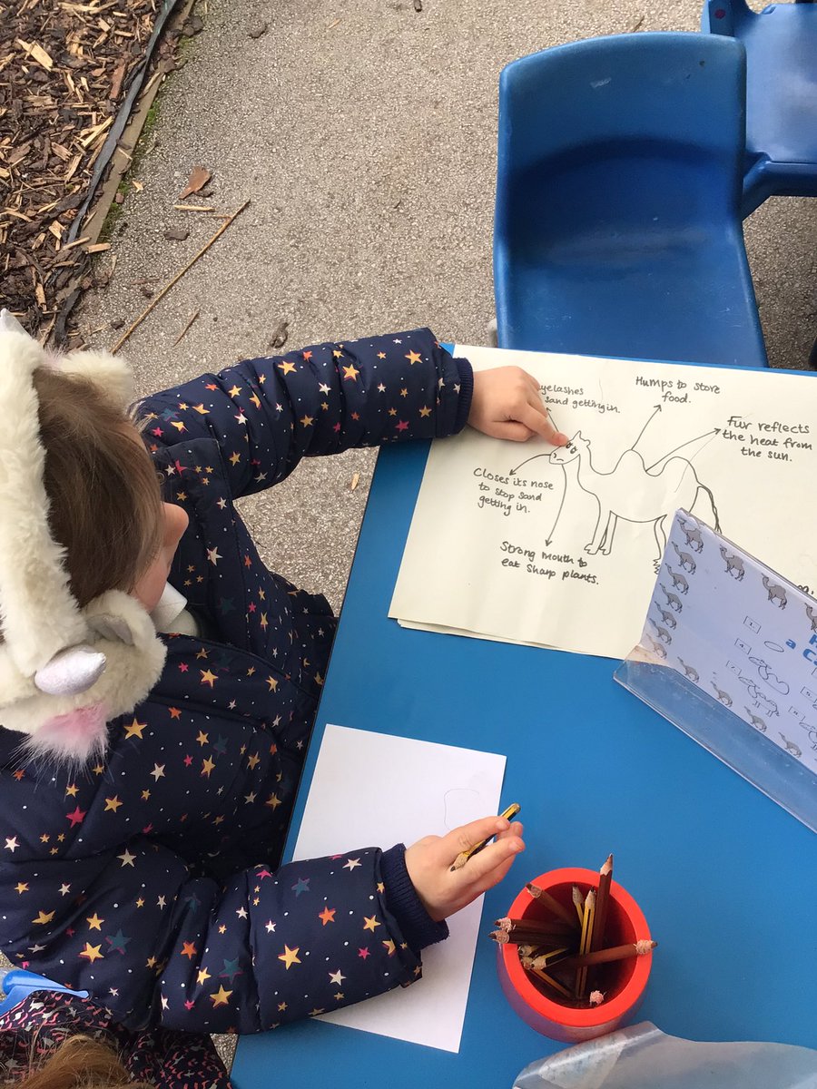 RecepWoodley's tweet photo. This week we have been learning about the Sahara desert and some of the animals that live there and plants that grow in this habitat. 

Have a look at some of the activities we have been doing! 

ASK ME if I can tell you any adaptations a camel has to help it live in a desert. https://t.co/ngCfm16Jtr