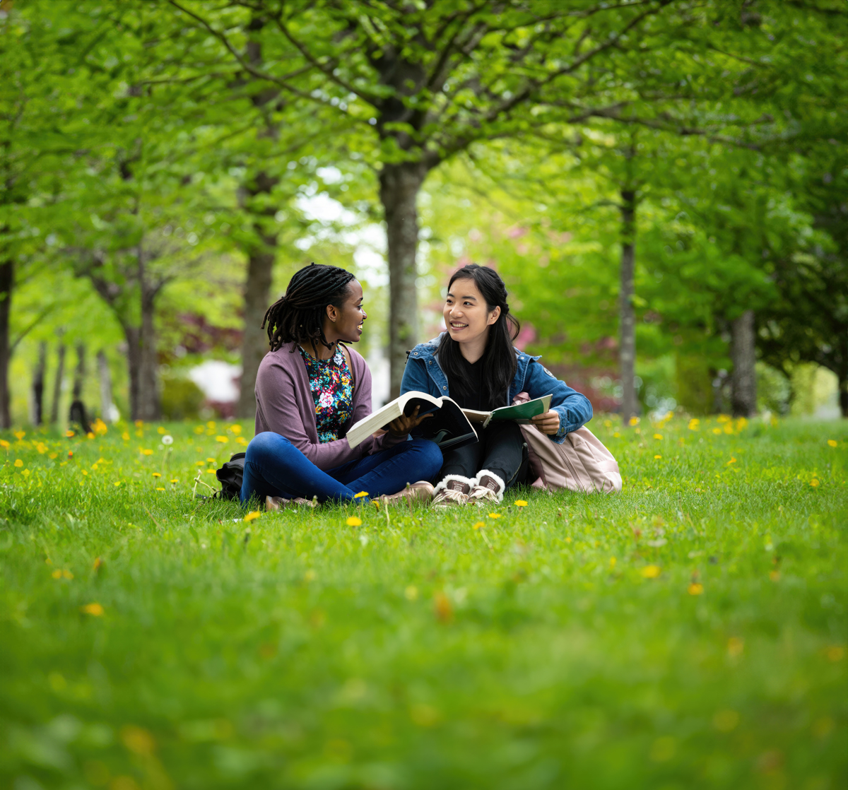 This Fall, we're launching a Bachelor of Social Work program! Become a part of our tight-knit community, learn from experienced faculty, and experience hands-on learning, making an impact in your community. Applications are open until Jan 31 Apply now: UNB.ca/bsw