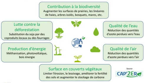 Benoît Rouillé tweet media