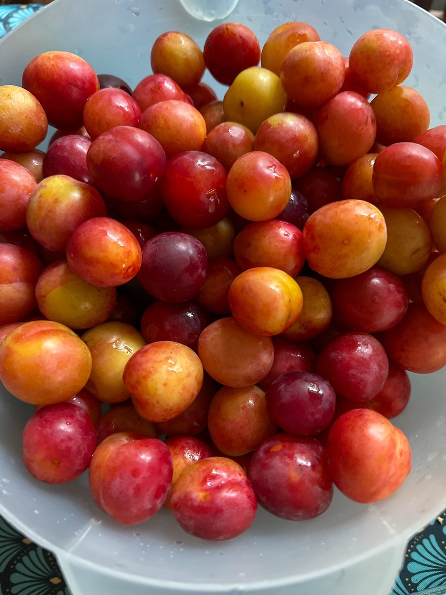 Papa la acheté prune pou moin la plaine 🤩 lé siiiiiicré 😋