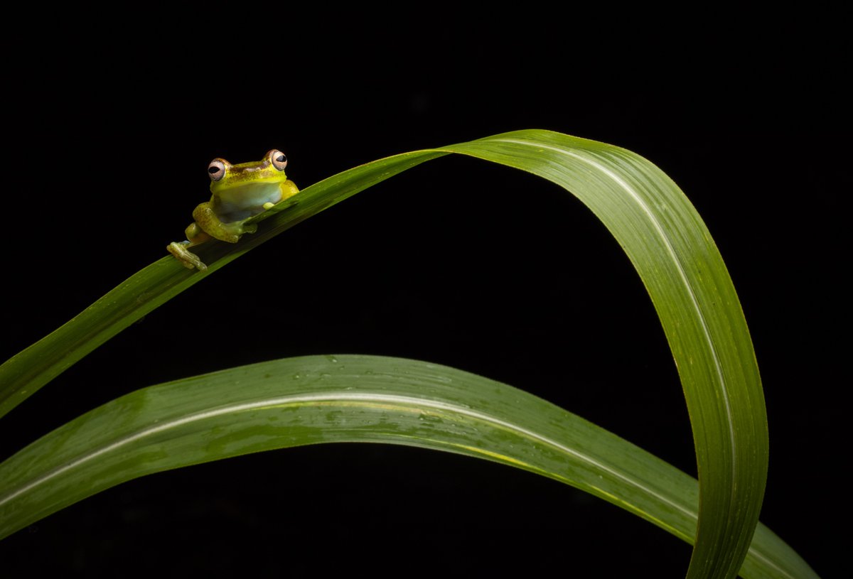 📣 Heads up, youth 13-18! You could earn $10,000 in funding from @insidenatgeo by creating a 1-min video showcasing your ideas to improve the environment for the Slingshot Challenge! Apply by Feb 1. Get all the details at slingshotchallenge.org! 📸 @calliebroaddus