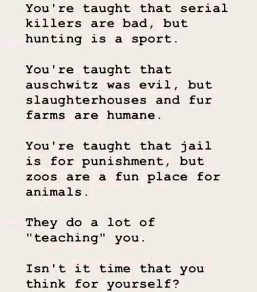 Dervilla(v) (@derviemoo) on Twitter photo 