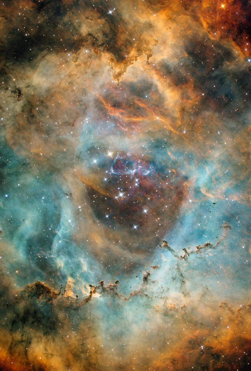 NGC 2244 is an open star cluster located within the Rosette Nebula in the constellation Monoceros. This cluster, often referred to as the Rosette Cluster, is a young and prominent group of stars that formed from the surrounding nebula's material. The Rosette Nebula, which