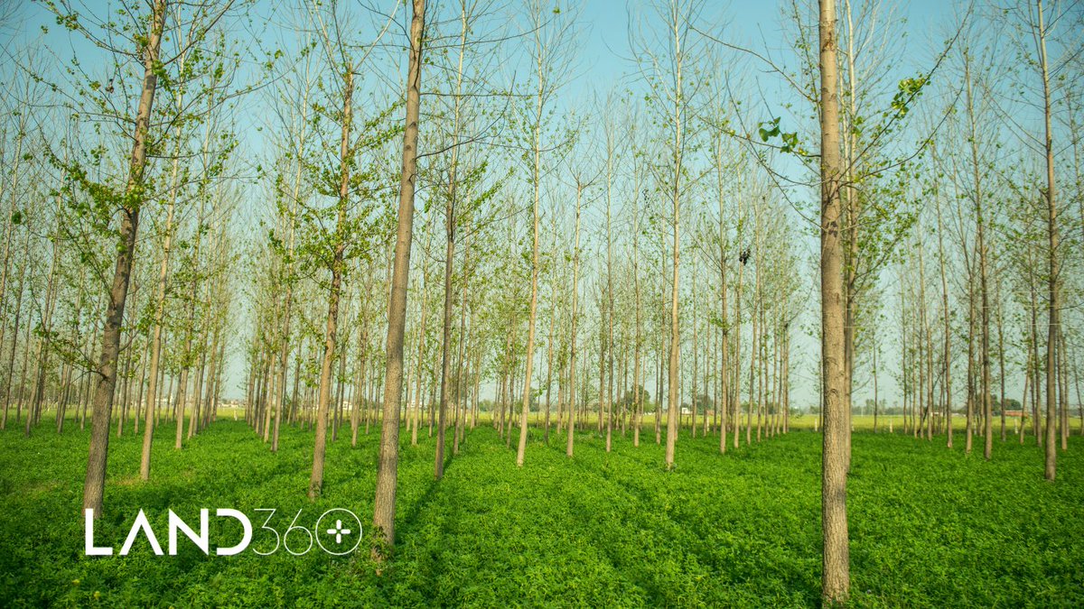 Farmland sustainability projects don’t necessarily have to replace existing farming practices, they could work alongside them – for example, an #agroforestry strip within a cereal field.

Have you explored all #naturefriendlyfarming options available to you?