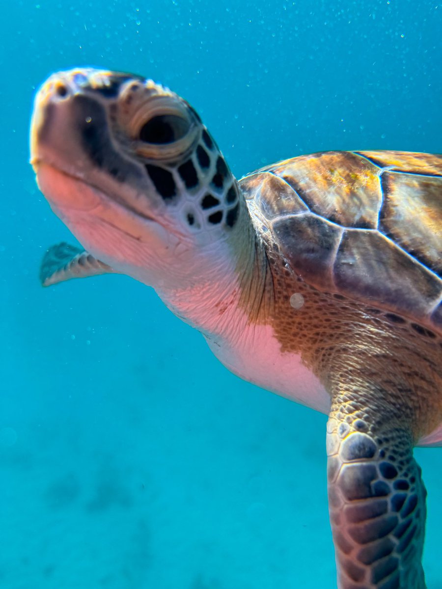 Vikkstar123 β
 (@vikkstar123) on Twitter photo Ocean boys ft. my new friend π Ocean boys ft. my new friend π