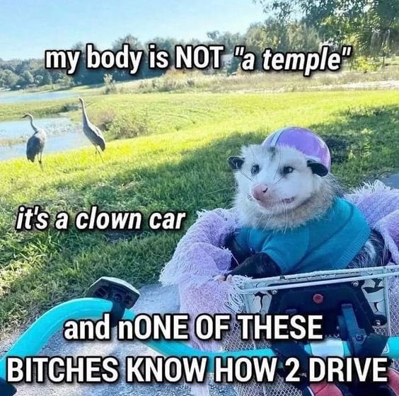 *PearlWhirls* (@levessence) on Twitter photo 