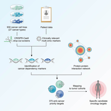 Garnett Lab (@garnettlab) on Twitter photo First lab paper of 2024! An extensive update of our approach to systematically identify cancer dependencies, published today in @CancerCell. Amazing collaboration with @Francesco_i0ri0 lab. Open access link here: sciencedirect.com/science/articl… <a href="/DepMapSanger/">Cancer Dependency Map Sanger</a> Tweetorial below.. (1/6) First lab paper of 2024! An extensive update of our approach to systematically identify cancer dependencies, published today in @CancerCell. Amazing collaboration with @Francesco_i0ri0 lab. Open access link here: sciencedirect.com/science/articl… <a href="/DepMapSanger/">Cancer Dependency Map Sanger</a> Tweetorial below.. (1/6)