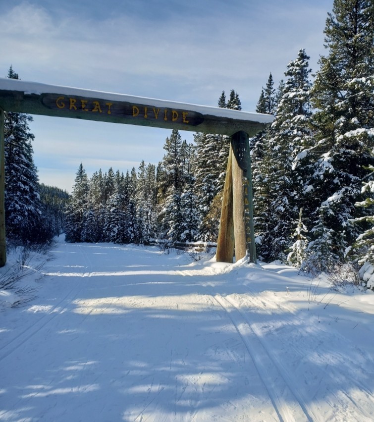 pnYoho's tweet photo. 🕰️Passé et présent⏳#JournéeDesTrésorsPatrimoniaux
Cette arche se trouve sur le sentier de la Ligne-de-Partage-des-Eaux à la frontière AB.-C.-B. Autrefois une route, c’est maintenant une piste de ski de fond en hiver: https://t.co/dXfCNo7NqB

📷Bibliothèque et Archives Canada https://t.co/TOgp0TdnBM