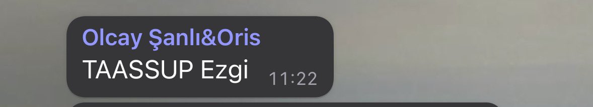 Arkadaşımla birbirmize muhasebe dilinde küfür etmeye karar verdik