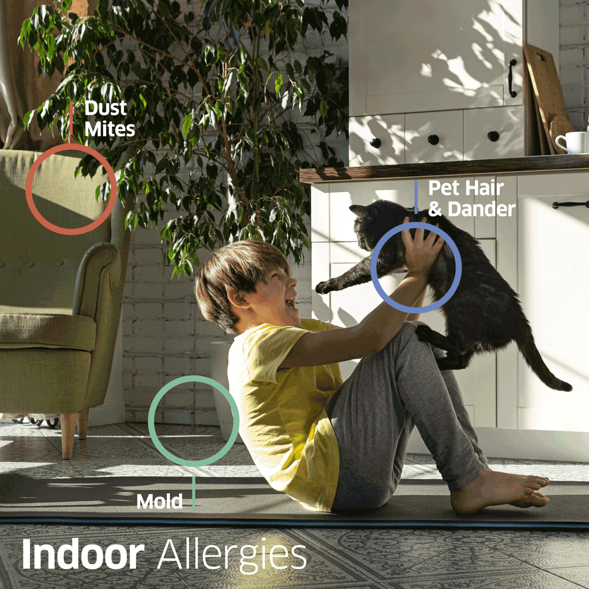 HSAllergy's tweet photo. In the winter, we spend more time indoors, but that doesn't mean that allergens won't affect us. Learn about indoor allergens and allergy extracts on our website: https://t.co/JsAnZCWbF0

#HollisterStierAllergy #indoorallergies #allergyimmunotherapy #allergytreatments https://t.co/jW3q7t6kb1
