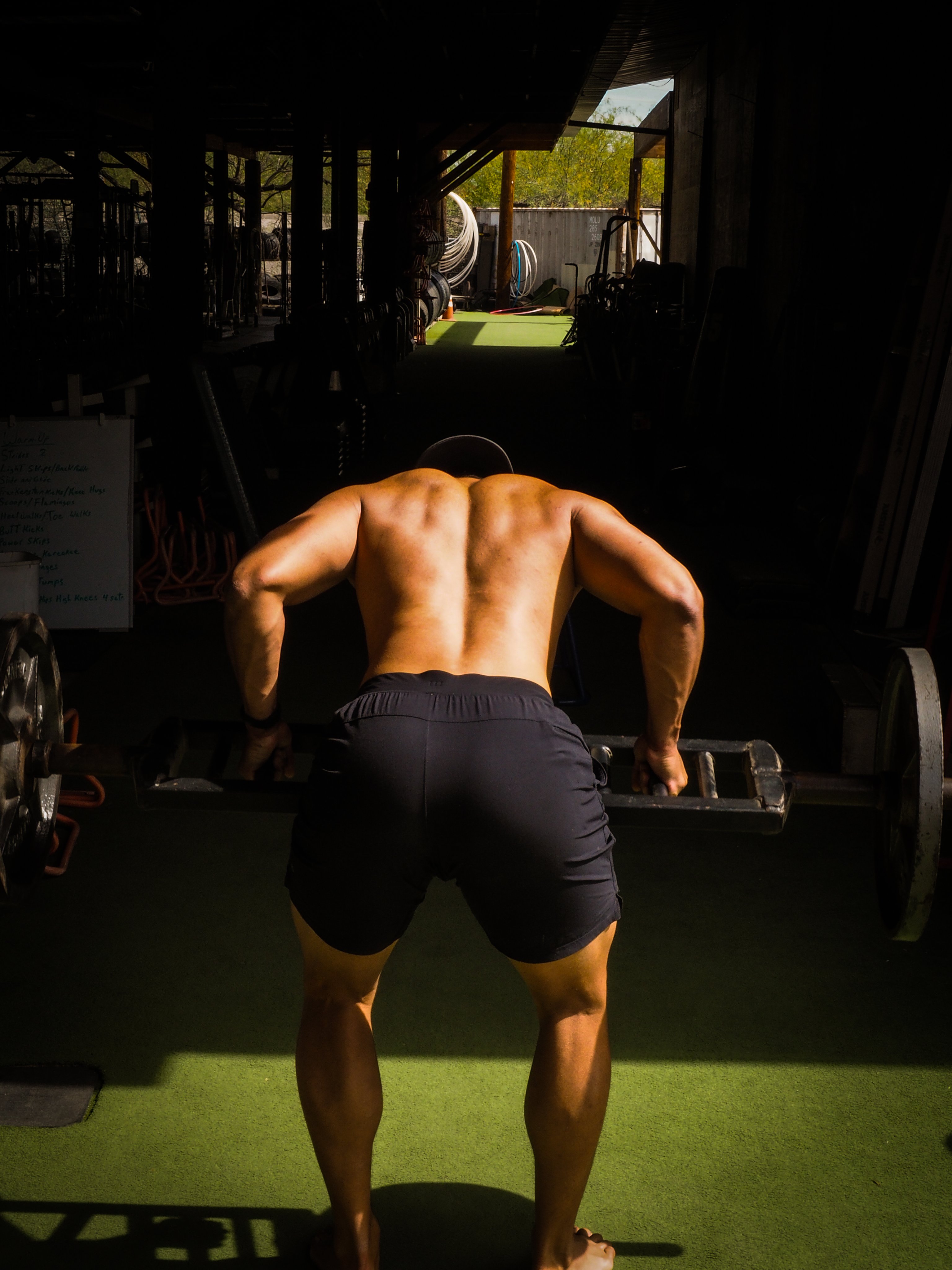 Light back workout clearance