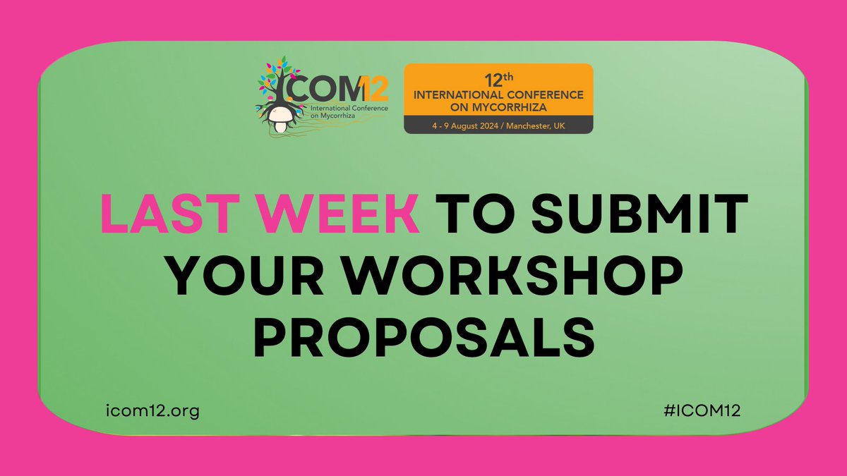 ⌛Workshop submission deadline is almost over! 🫵Submit your workshop to #ICOM12 today and take part in progressing the field with your contributions. ⏰ Workshop Submission Deadline: 15 January 2024 Submit here👇 bit.ly/41PR2Ki