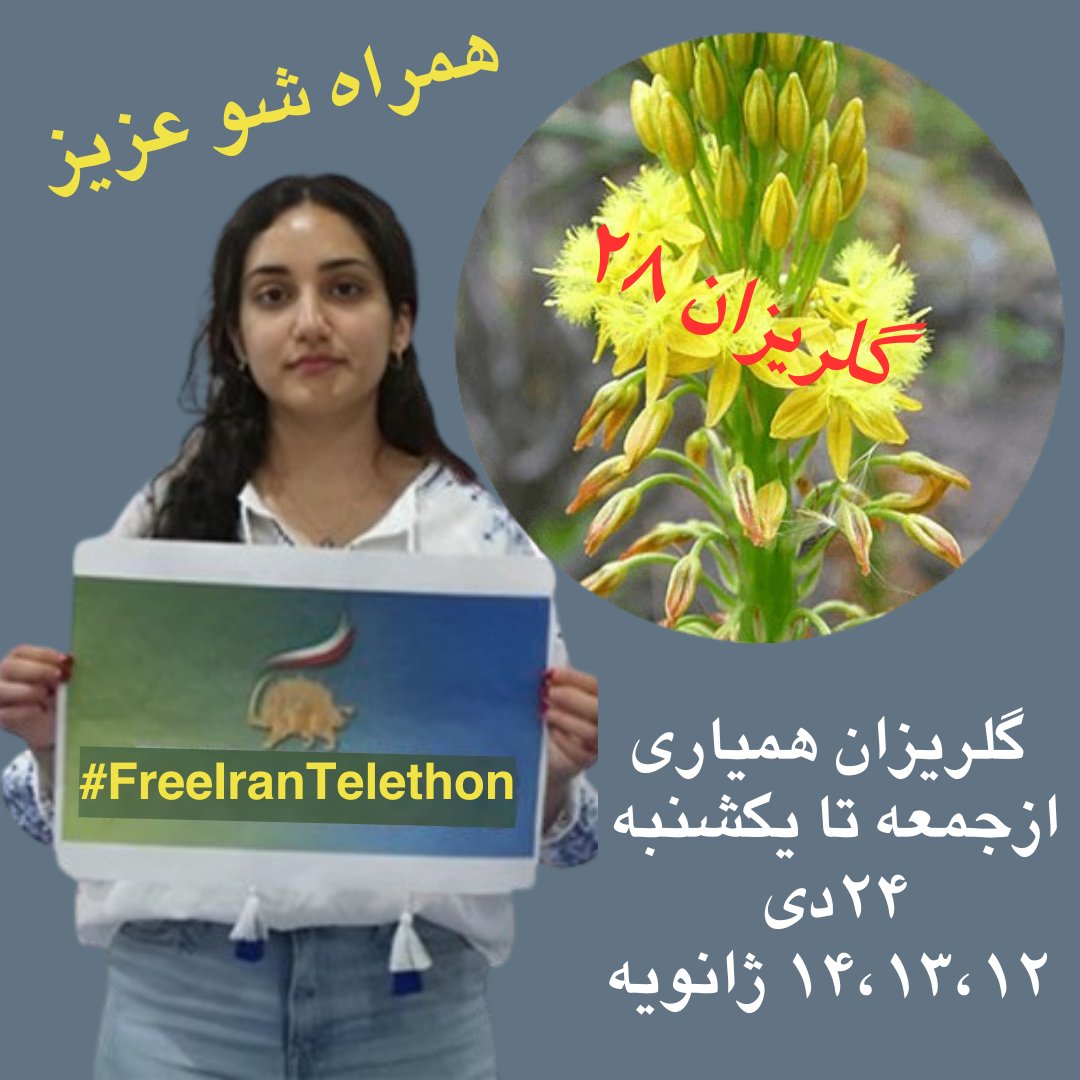 baharehshayan's tweet photo. فردا جمعه گلریزان با شکوه #همیاری 
همراه با «سیمای عاشقان آزادی ایران و ایرانی
صدایی که نباید هرگز خاموش شود 
درحمایت از این رسانه مستقل با ما باشید! 
وعده ما:
۲۳،۲۲ و ۲۴ دیماه ۱۴۰۲  
#نه_شاه_نه_شيخ 
#FreeIranTelethon https://t.co/bfkIF4uhNN
