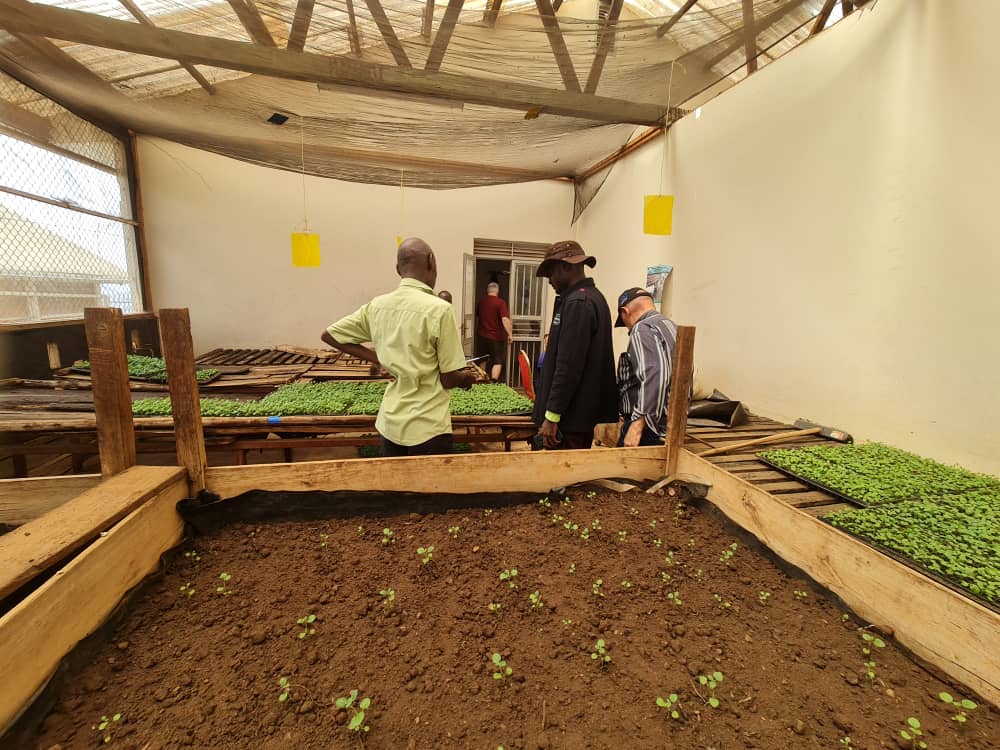 HortiFresh (@hortifreshffv) on Twitter photo Following Yesterday's engagements in Kabalore District, Today we visited Mbarara ZARDI and KaZARDI on the same agenda, we hope that these engagements will continue to improve the volumes of FFV from Western Uganda.
<a href="/FrankTumwebazek/">Frank K Tumwebaze,MP: Isaiah 41: 11</a>
#BoostingFFVExports Following Yesterday's engagements in Kabalore District, Today we visited Mbarara ZARDI and KaZARDI on the same agenda, we hope that these engagements will continue to improve the volumes of FFV from Western Uganda.
<a href="/FrankTumwebazek/">Frank K Tumwebaze,MP: Isaiah 41: 11</a>
#BoostingFFVExports