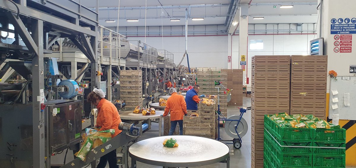 Olaf van Campen tweet media