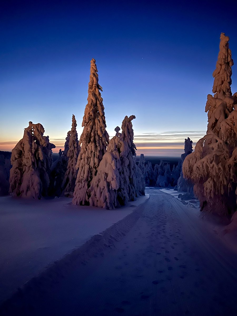 Erika Benke tweet media