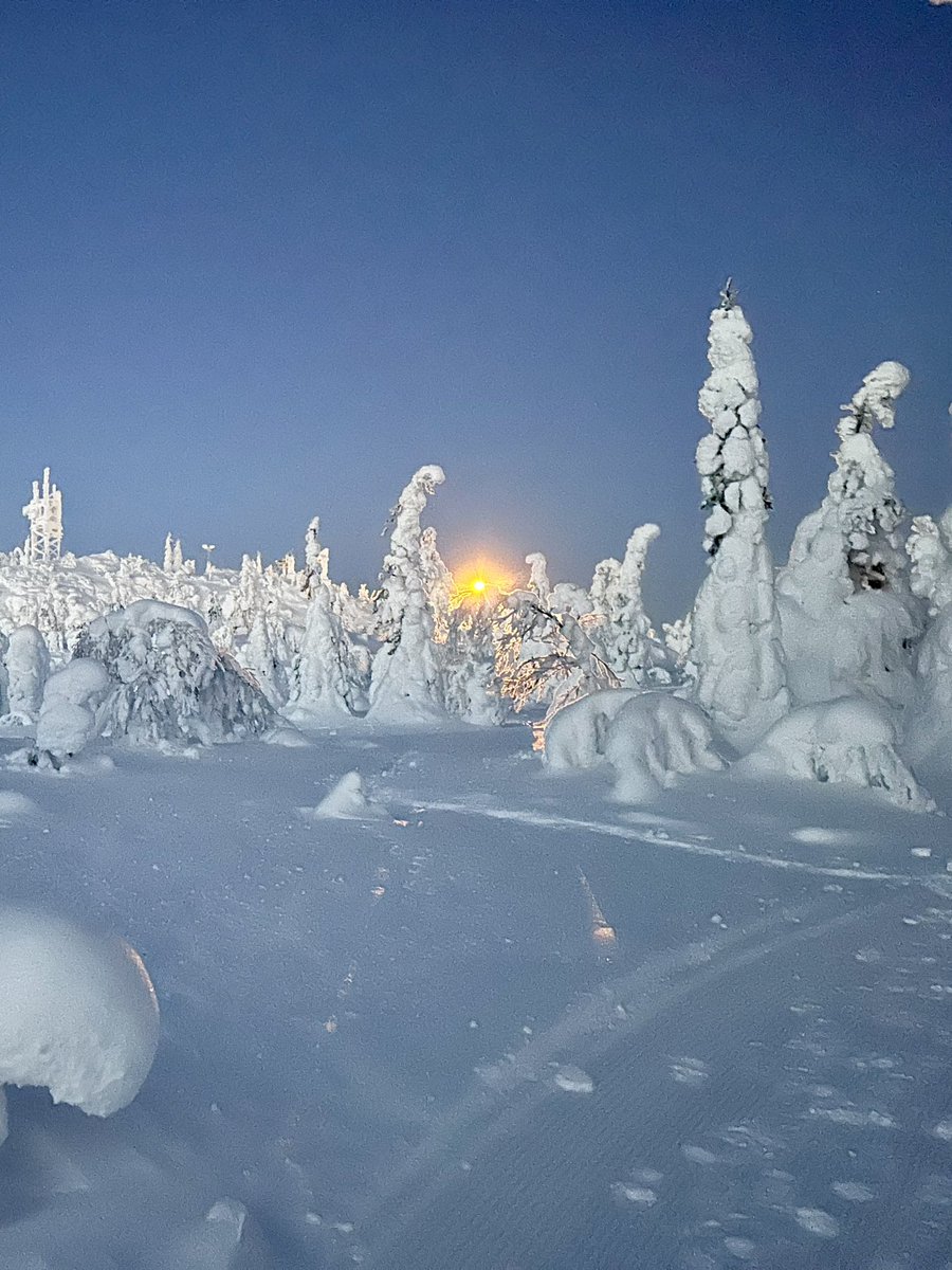 Erika Benke tweet media