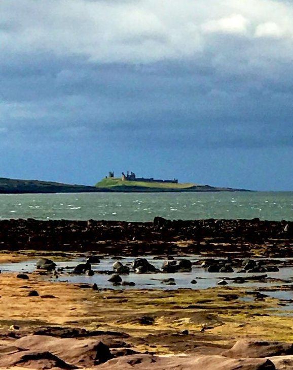 Terry Smith has written a great new article on Northumberland's climate and ecological crisis for our points of view page. Terry takes a look at the environmental challenges we face locally as well as some of the solutions. Read it at:  alnwickfoe.org.uk/pointsofview/