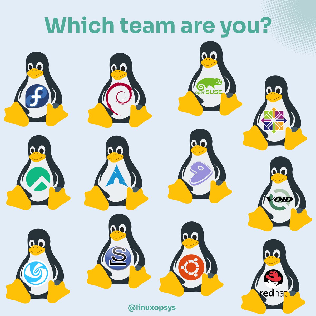 TRÄW🤟 tweet media