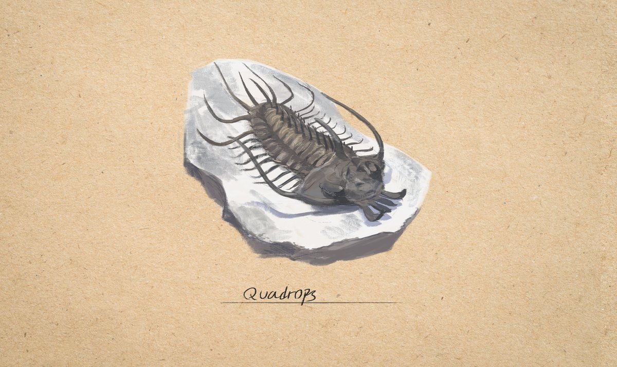 aldrich_kia's tweet photo. also chiming in with some past #Trilobite #paleoart, sad to see google image is starting to pile up with wonky ai images of them https://t.co/B8G7PXxrZc