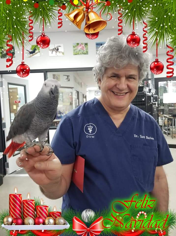 I cannot say how much #DrSamBackos from #BackosBirdClinic will be missed. We have truly lost a GREAT in the #AvianWorld with his expertise and knowledge. He passed away on 1.10.24 🙏 The clinic is permanently closed 💔