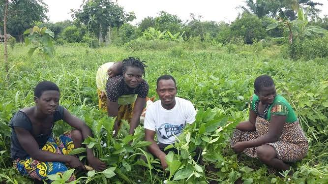 Nsungayakongo's tweet photo. Créer des liens entre les différents #acteurs de l’industrie Agricole et faciliter le réseautage.
Nous faisons tout pour permettre aux différents acteurs de notre #écosystème à pouvoir bénéficier de notre carnet d’adresse afin de trouver des partenaires efficaces. https://t.co/r94XtGUB3O
