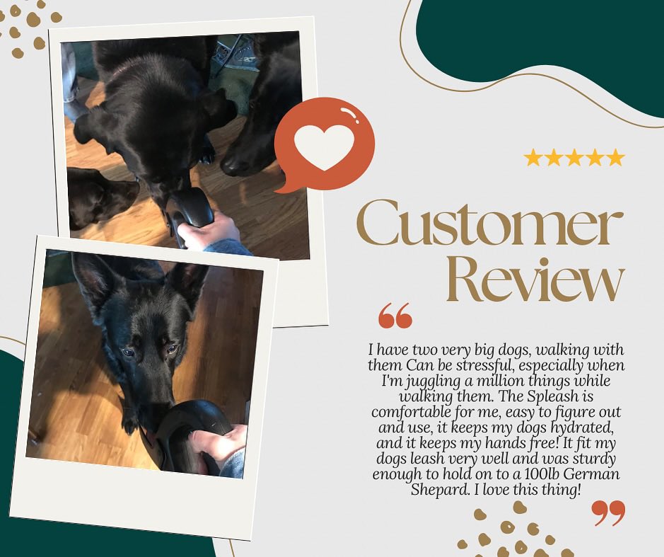 TailChasersLLC's tweet photo. The customer's experience with Spleash truly highlights its convenience, durability, and practicality for keeping our furry friends hydrated on the go. 🫰

#spleash #spleashyourleash #customerreview #review #dogwaterbottle #dogaccessories https://t.co/vx3UUqPmRH