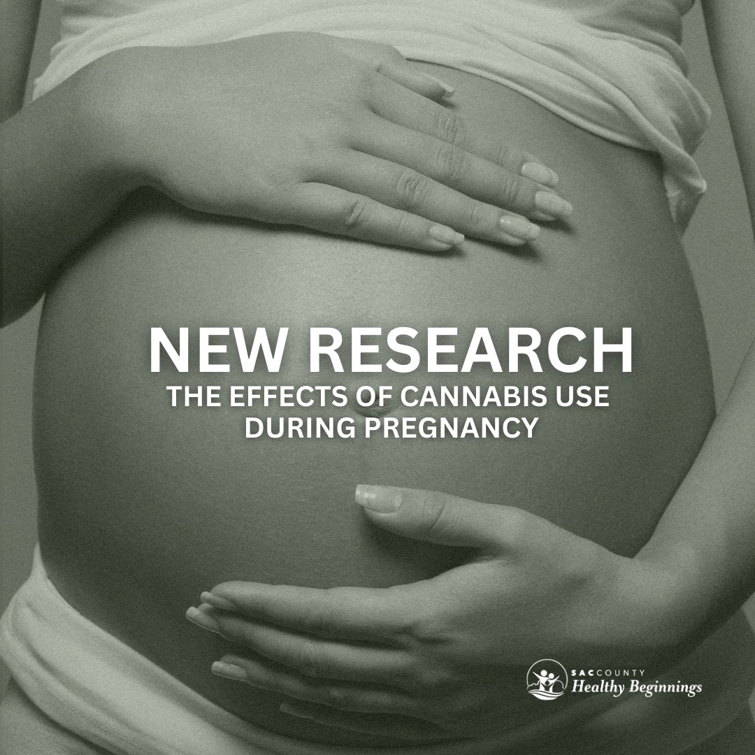 New research emerges about the dangerous effects of cannabis use during pregnancy. Learn more: bit.ly/3NDgpZW.