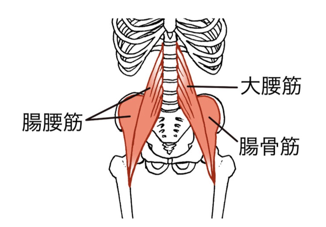 taguchi_0303's tweet photo. 死ぬまで自分の足で歩きたい人は必ず読んでください！

一生、元気に自分の足で歩きたいですよね！
そのためには、ひとつ大切な質問をします。

あなたの足は、どこからはえていますか？

これは誰もが勘違いしているけど、超重要な質問です。

股関節や股下からはえてるよ。って思いましたか？

その答えだと、要注意です。

足がはえているのは、みぞおちのあたりからなんです！

どういうことかと言うと、
大腰筋って聞いたことありますか？

みぞおちのあたりの背骨から、太ももにつながっている大きな筋肉です。

これは、足を上げるための重要な筋肉です。

この大腰筋が弱ってくると足が上がらなくなり、高齢者の方に見られる「すり足」の歩き方になります。

「すり足」なので、つまづきやすくて転倒します。
骨も弱っているので簡単に骨折してしまうのです。

一生涯、自分の足で歩くためには大腰筋を鍛える事が重要です。

まずは、歩くときにみぞおちのあたりから足がはえている事を意識して歩いてみて下さい。

いつもより大股になるはずです。

写真のサッカー選手は、大腰筋をめいいっぱい使っています。

みぞおちのあたりから足がはえているのがイメージしやすいと思います。

ぜひ、意識してみてください😊