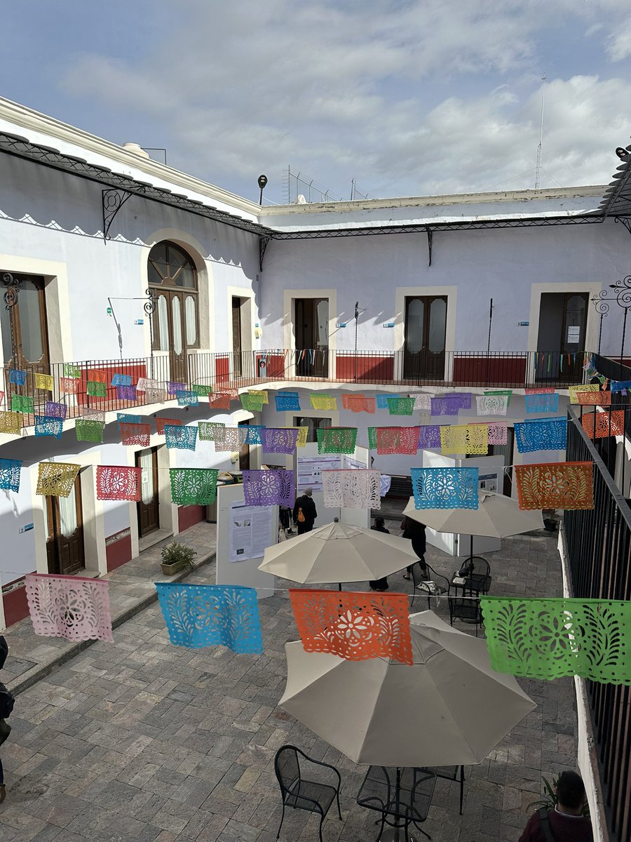 Salvatore Callesano tweet media