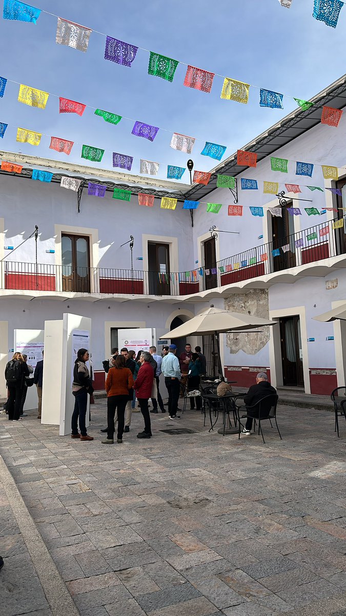 Salvatore Callesano tweet media