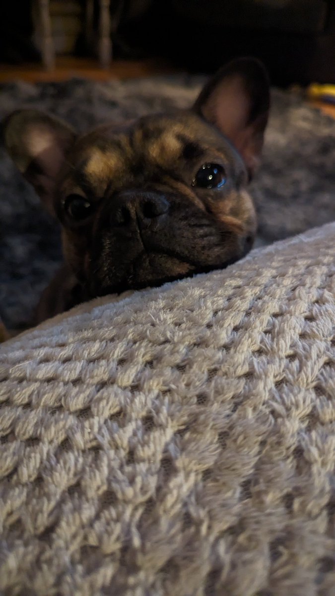 When you have chocolate and someone's watching you 😂😂😂💞