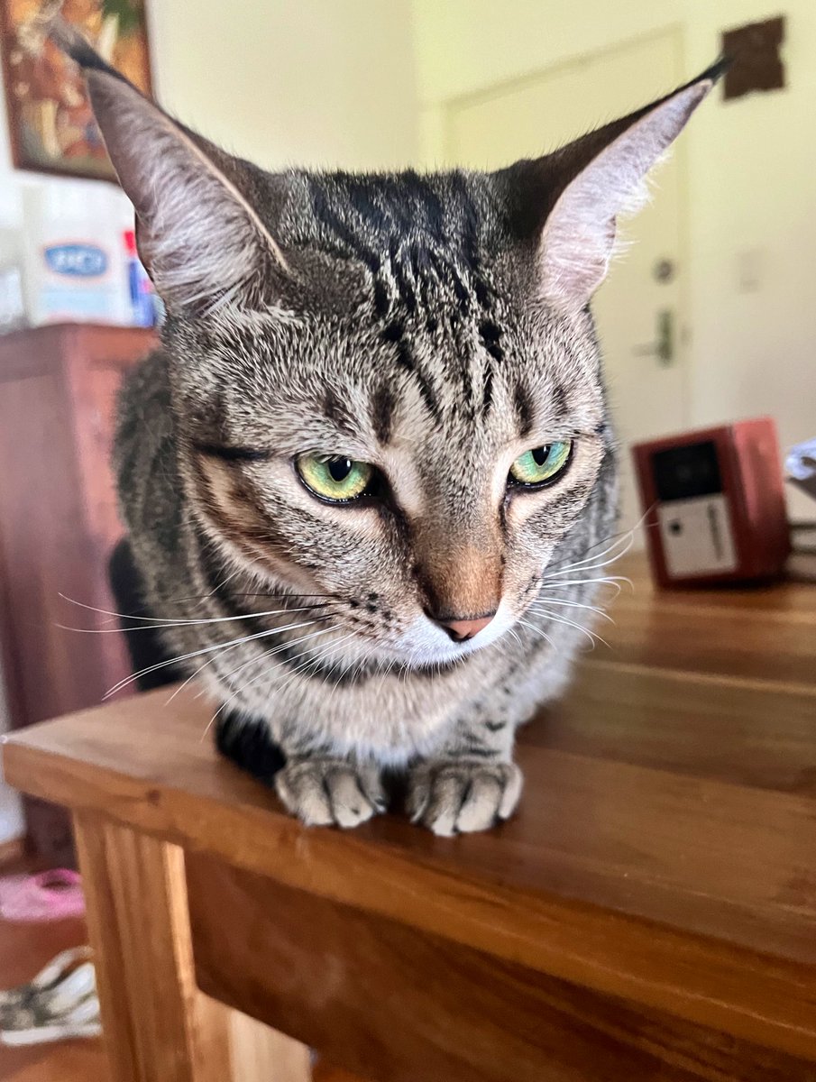 Dave Krantz tweet media