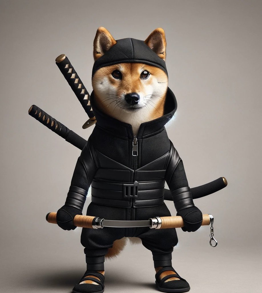 Crypto__kiwi's tweet photo. @dogwifnunchucks Nice idea guys .. I went through all ideas and he is my logo favorite: 

minimalistic, mature, strong attitude and of course wif the nunchucks 🥷🐶 

What do you think? https://t.co/nNAwbpZXOP
