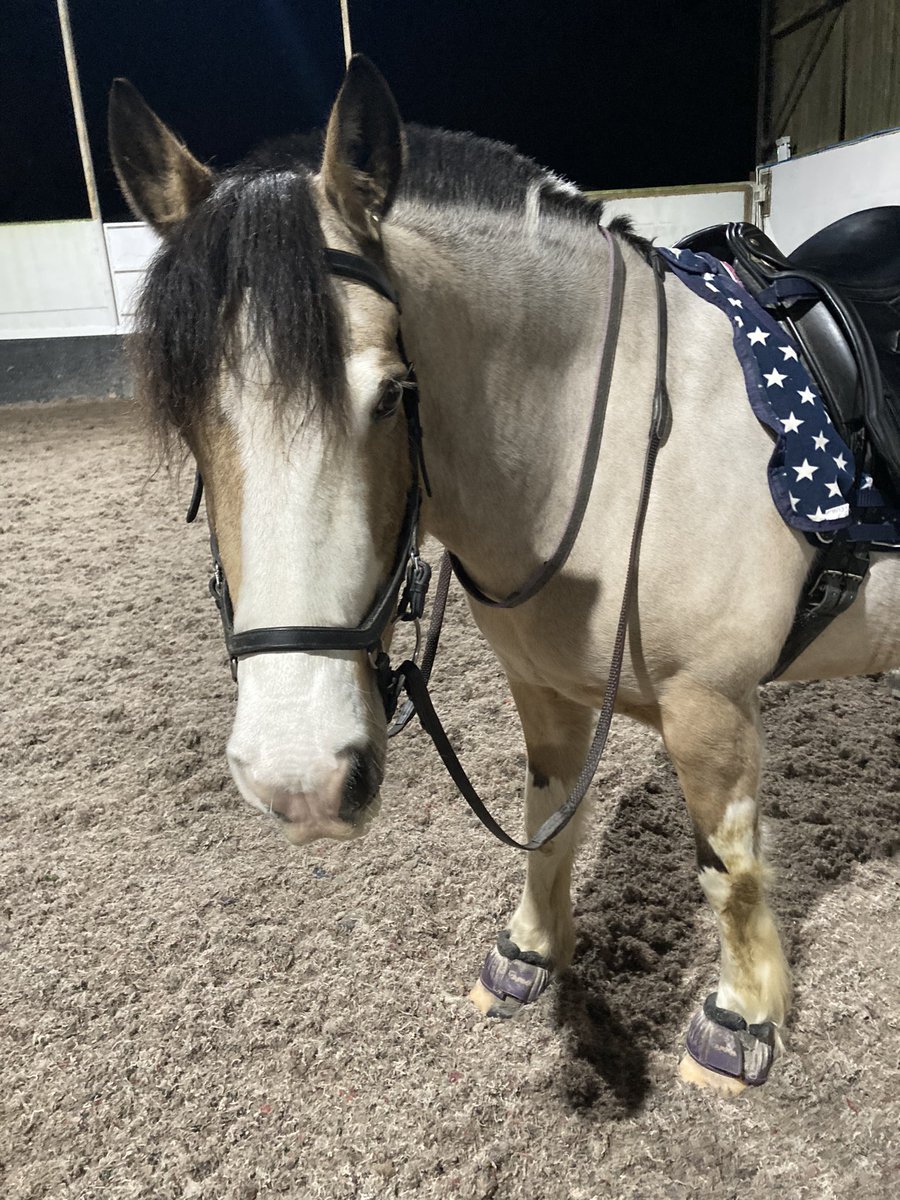 This morning Tess was really good. We practiced serpentines and maintaining rhythm.

I’m really excited that we have booked a lesson in a few weeks time. It’s our first one in ages 💜