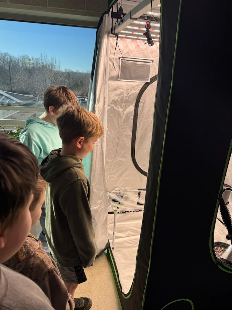 adcockhome's tweet photo. 2ndGrdrs @FRESWarriors planted in their grow tent today! They will care for their cucumbers, tomatoes and cucamelons until they harvest and enjoy the fruits of their labor! Thank you to the Powhatan Education Foundation for providing the funding for the grow tent! #PEFGrant https://t.co/2tr2xpYcMz