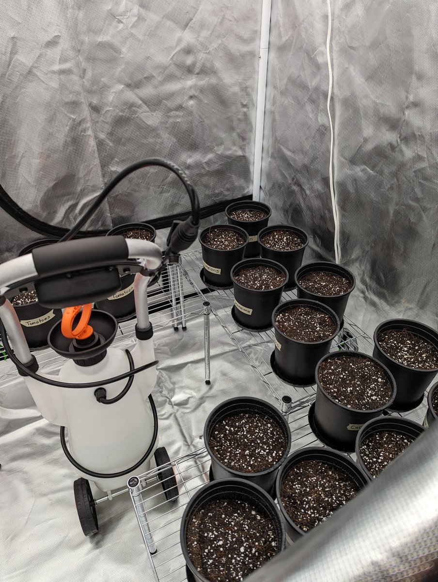 adcockhome's tweet photo. 2ndGrdrs @FRESWarriors planted in their grow tent today! They will care for their cucumbers, tomatoes and cucamelons until they harvest and enjoy the fruits of their labor! Thank you to the Powhatan Education Foundation for providing the funding for the grow tent! #PEFGrant https://t.co/2tr2xpYcMz