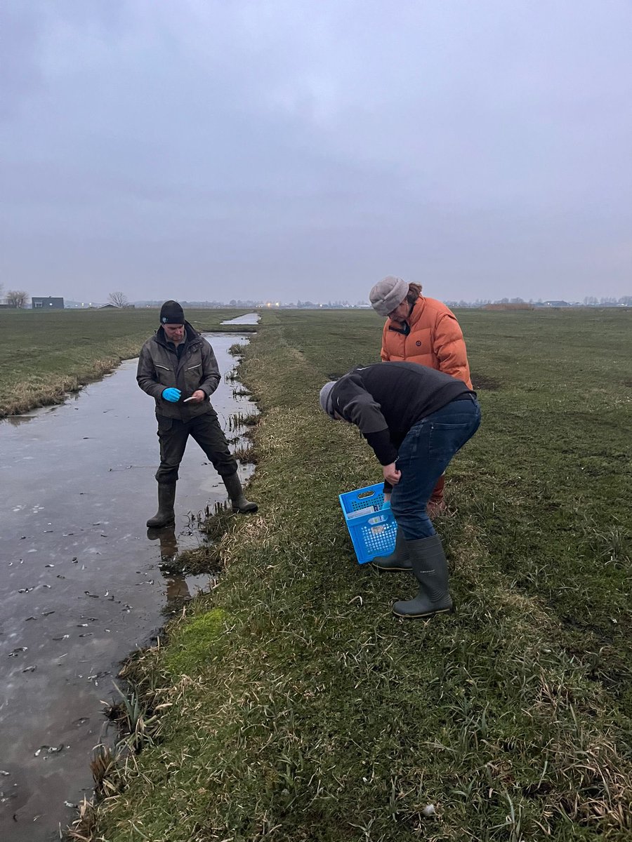 De eerste monsters in de buisjes. Met tijdstip, locatie en soort. (Gans koet smient zwaan )Op naar Wageningen.