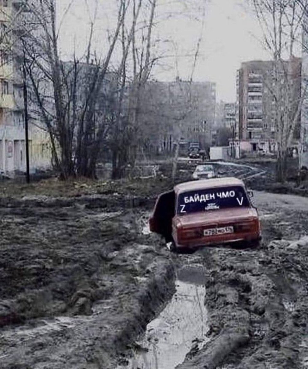 Вестник бури / Буревестник tweet media