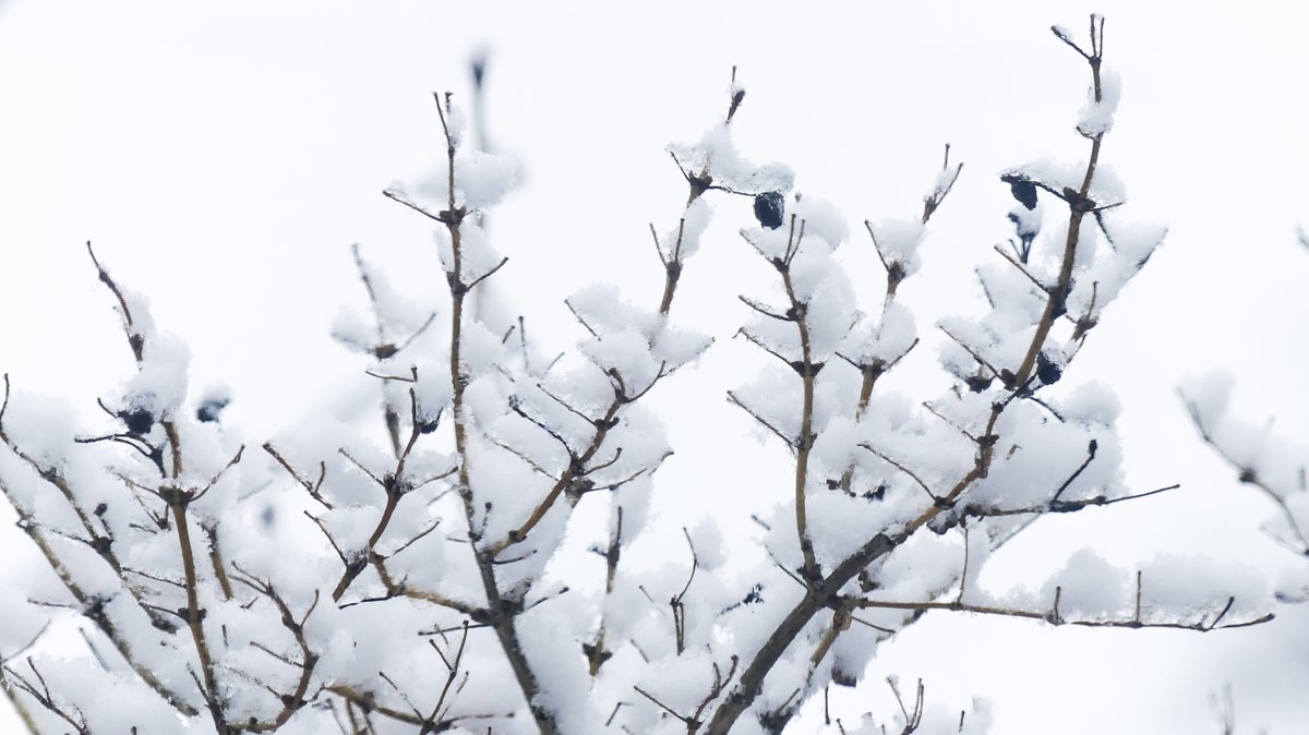 ctisom's tweet image. 