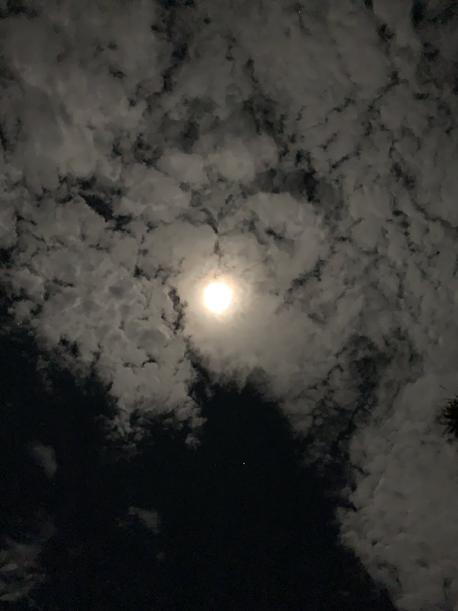 hackerr_weed's tweet image. Happy birthday to me 
อายุครบ 23 ปี ส่วนของความรู้สึกวันนี้ก็หม่นหมองหน่อยๆ น้อยใจอยู่แต่ไม่รู้จะระบายกับใคร แต่วันพรุ่งนี้คงผ่านมันไปแล้วเริ่มต้นใหม่ ให้สมกับสิ่งที่เราต้องการ ทิ้งความสุขปลอมๆๆไว้ในวันนี้ เริ่มต้นความรู้สึกตัวเองใหม่ รักตัวเองให้มากๆสร้างกำแพงมันไว้สูงๆ 🎂