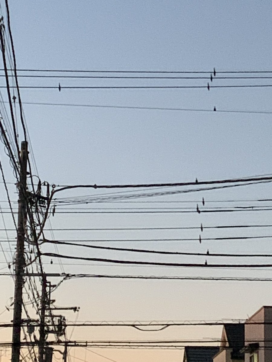 ayusora0125's tweet photo. なかなか夜は明けないね https://t.co/h3ukN9QiKE
