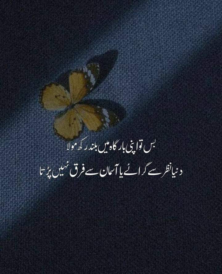 MisterSindh's tweet photo. https://t.co/4rlJhcFr8v