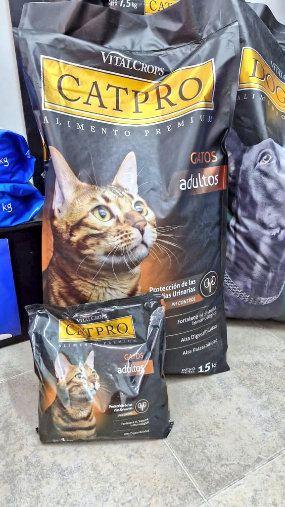 PreciosRosario2's tweet photo. #MascotasEnRosario 🐈 🐱

🐱 Alimento para gatos

👉🏻 #CatPro adulto 15kg + 1k de REGALO
💰 $40.810
👉🏻 #Excellent adulto 15 kg
💰 $63.620

🛵 Envío GRATIS
📍 #Patitas (Riobamba 301)

Pedilos acá 👇🏻
📱 341440716

🌐 https://t.co/Oc16GxlHdZ

#FotoTestigo 📸 https://t.co/ocUuSCXohx
