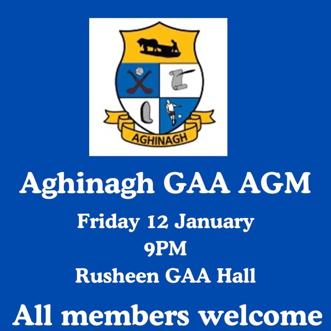 AghinaghGAA's tweet photo. Reminder AGM tomorrow https://t.co/WMm5GcjKom