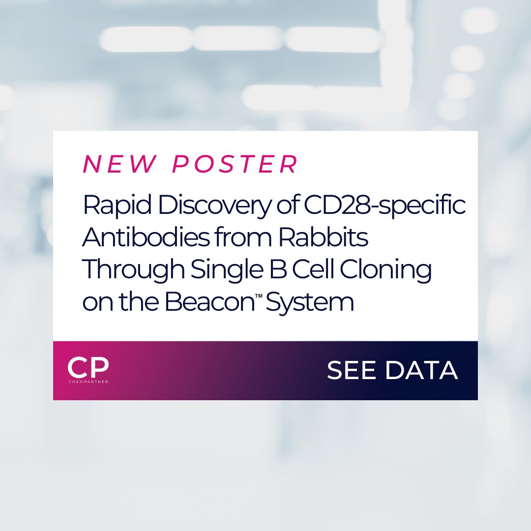 Get more effective drugs and therapies through rabbit antibodies - known for their unique antibody structure and diverse epitope recognition capabilities.
Check out our latest data on rabbit antibodies using our rapid single B-cell cloning workflow.  

chempartner.com/publications/